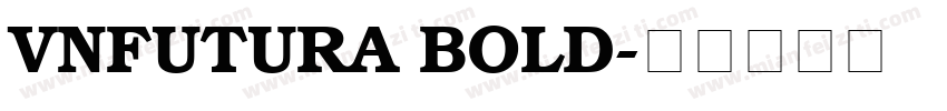 VnFutura Bold字体转换